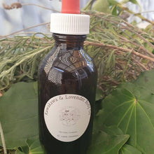 Load image into Gallery viewer, Kawakawa & Lavender Body Oil